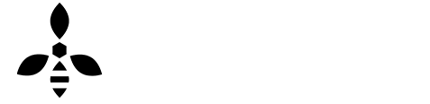 API Connect